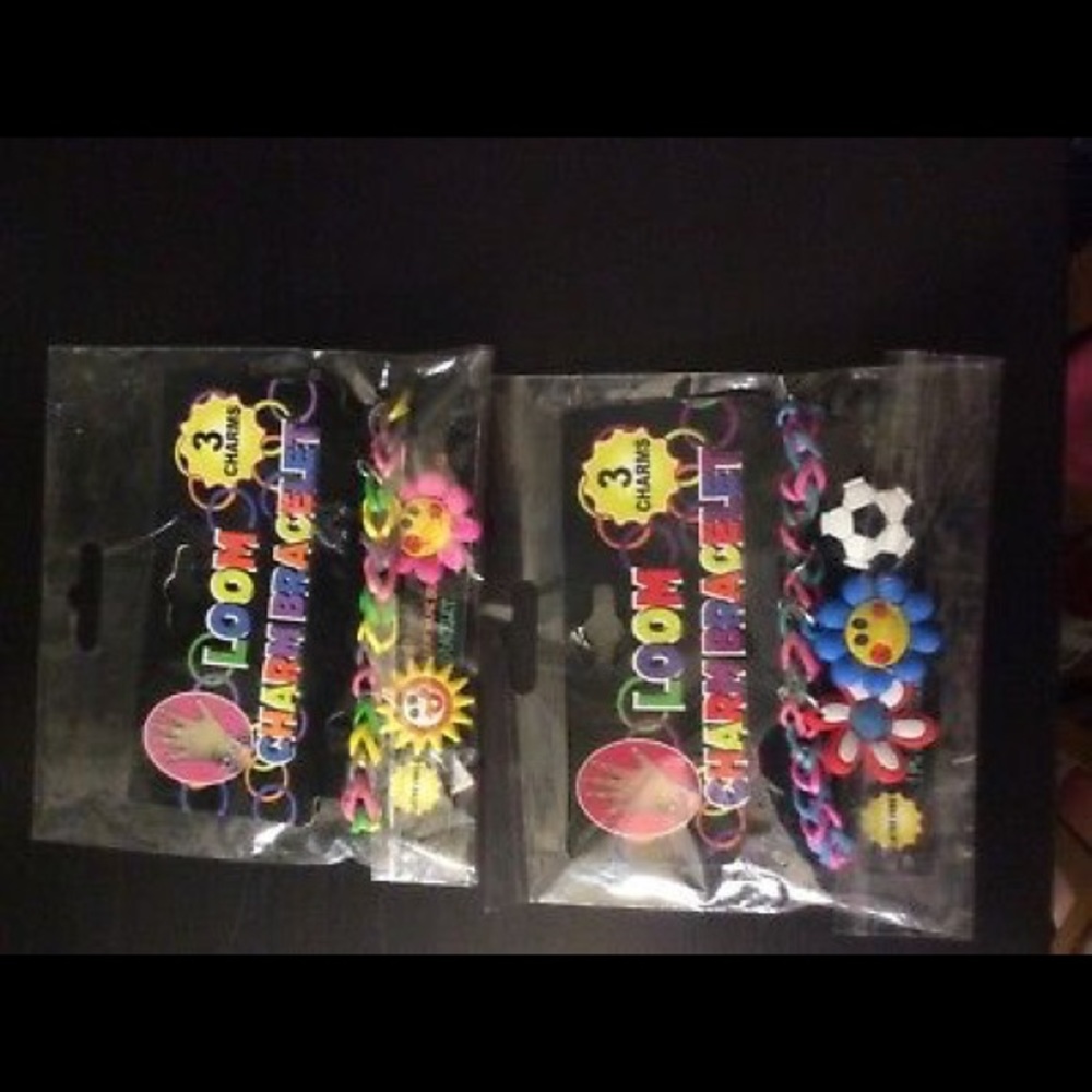 2 Rainbow Loom Charm Bracelet